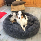 Lit orthopédique pour chien à rebords, housse lavable, cinq tailles