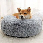Lit orthopédique pour chien à rebords, housse lavable, cinq tailles, gris clair
