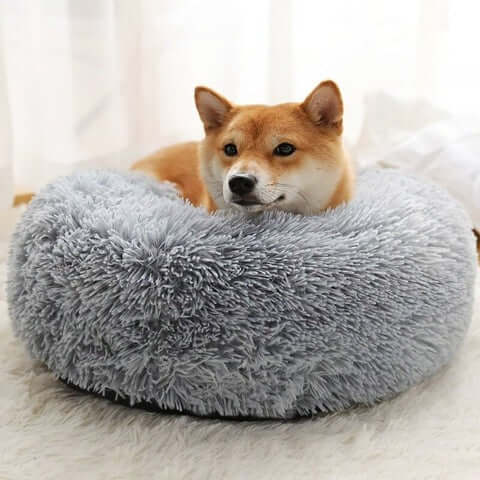 Lit orthopédique pour chien à rebords, housse lavable, cinq tailles, gris clair