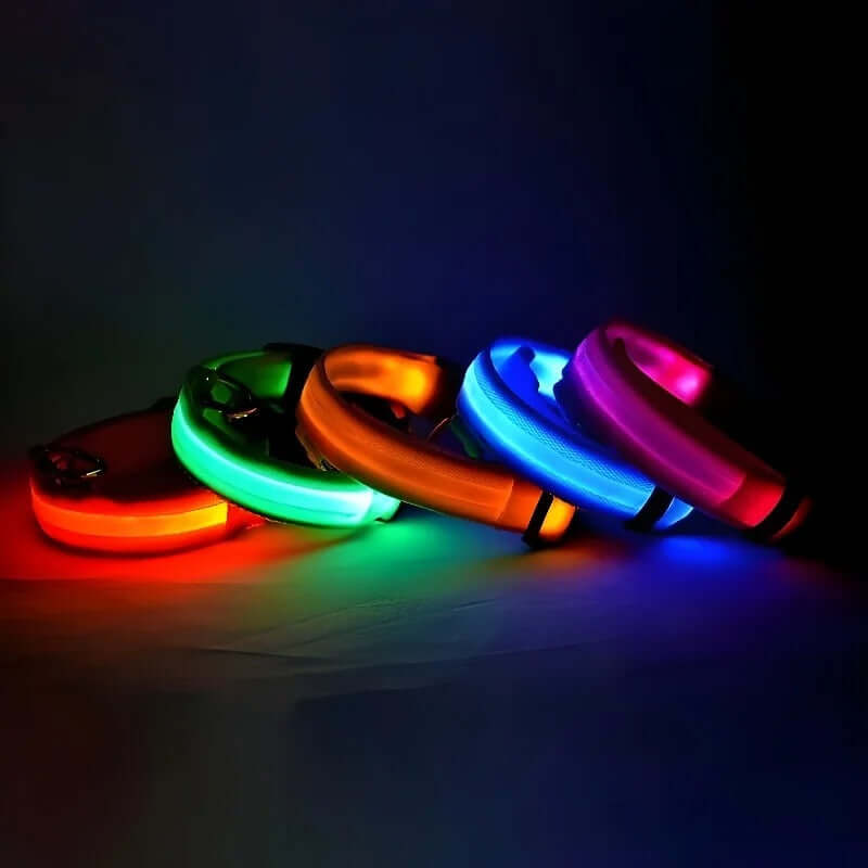 Collier et laisse lumineux LED pour chien, en nylon
