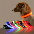 Collier et laisse lumineux LED pour chien, en nylon, orange