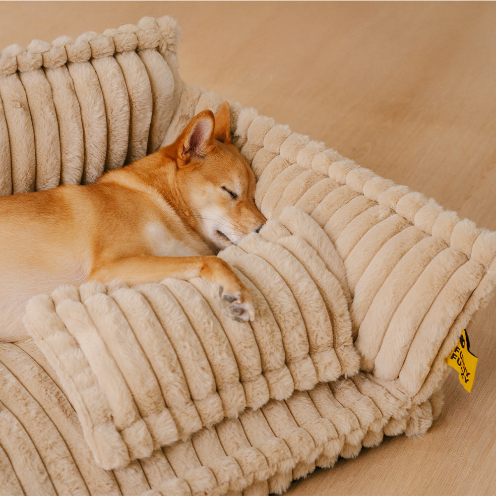 Lit orthopédique pour chien, housse lavable, quatre tailles