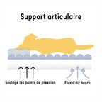 Lit orthopédique pour chien, housse lavable, quatre tailles