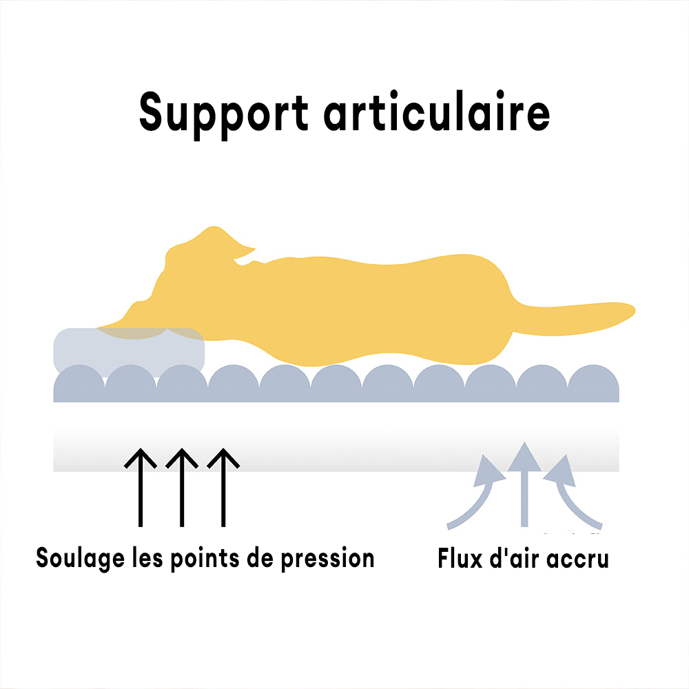 Lit orthopédique pour chien, housse lavable, quatre tailles