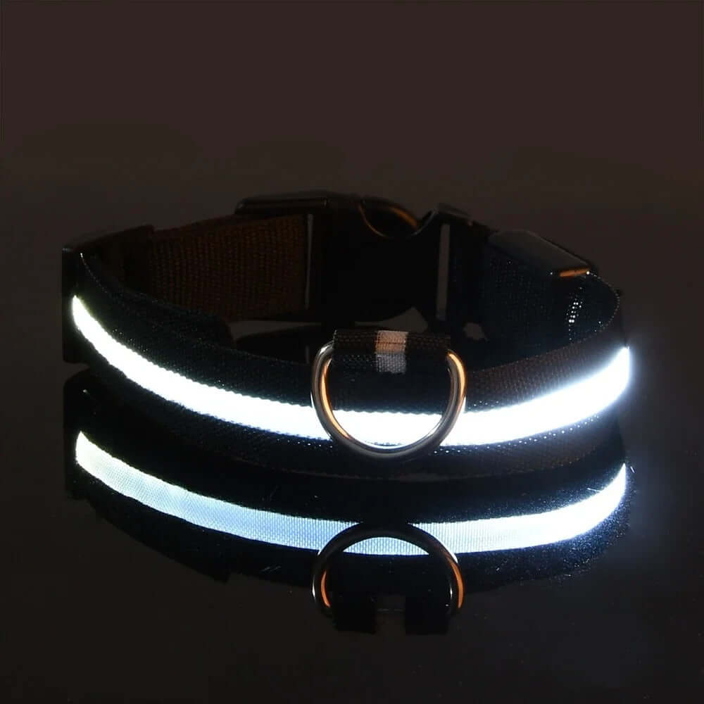 Collier et laisse lumineux LED pour chien, en nylon, noir