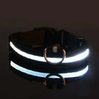 Collier et laisse lumineux LED pour chien, en nylon, noir