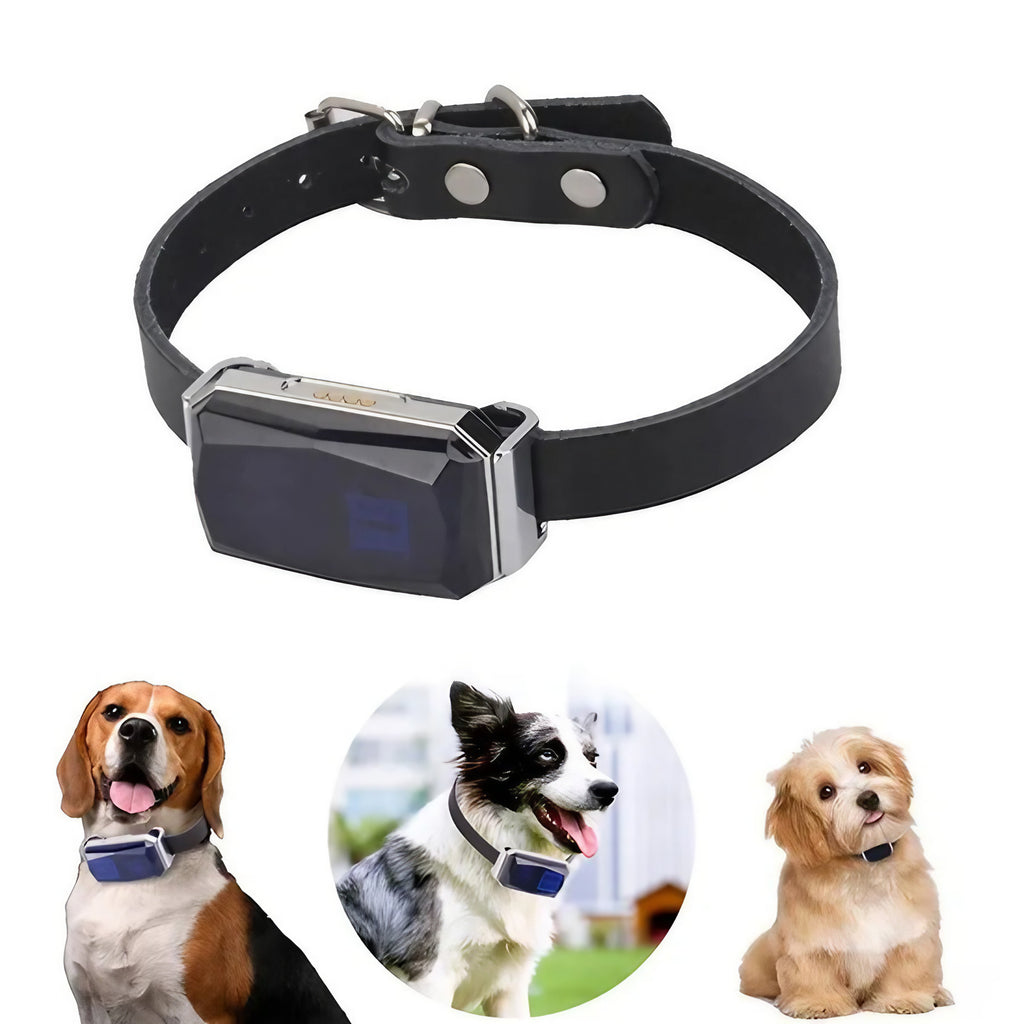 Collier GPS pour chien et chat, suivi en temps réel, IP67