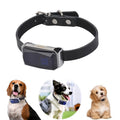 Collier GPS pour chien et chat, suivi en temps réel, IP67