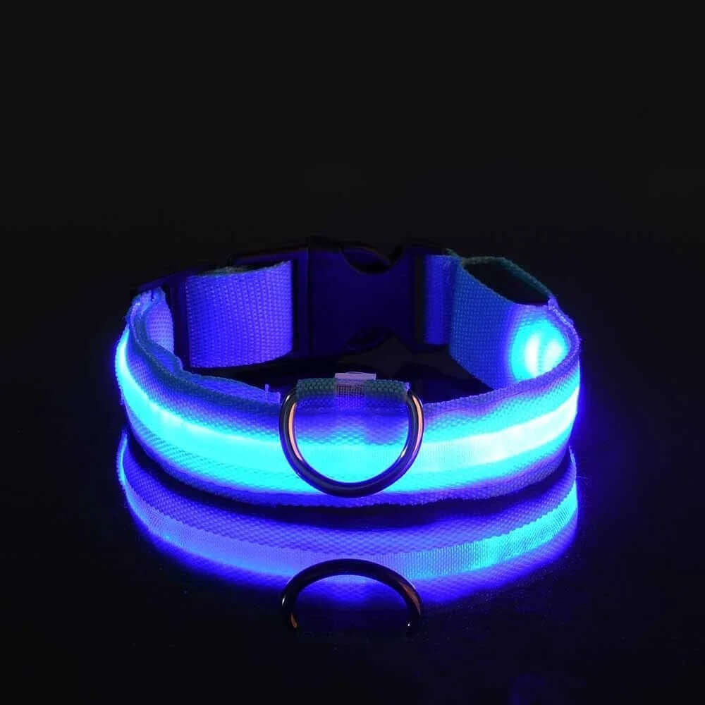Collier et laisse lumineux LED pour chien, en nylon, bleu