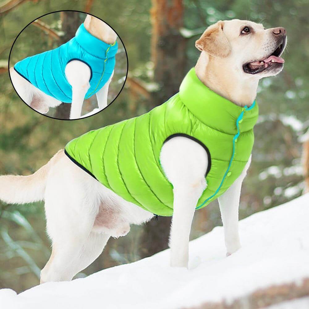 Manteau pour chien réversible et imperméable, doublure polaire, bleu gris