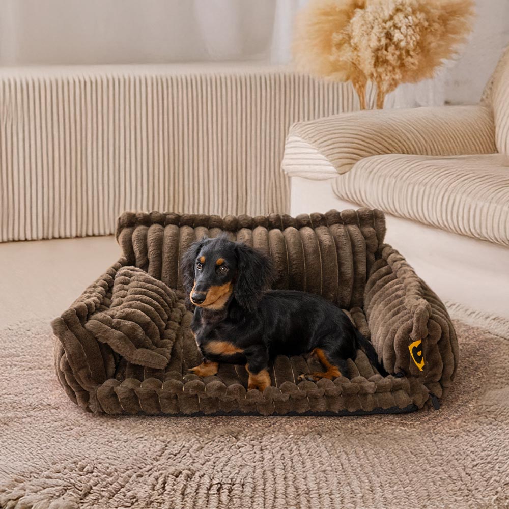 Lit orthopédique pour chien, housse lavable, quatre tailles