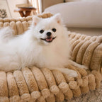 Lit orthopédique pour chien, housse lavable, quatre tailles