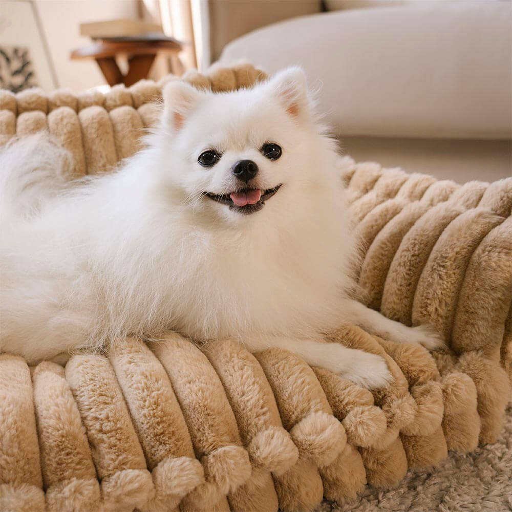 Lit orthopédique pour chien, housse lavable, quatre tailles