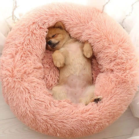 Lit orthopédique pour chien à rebords, housse lavable, cinq tailles, rose