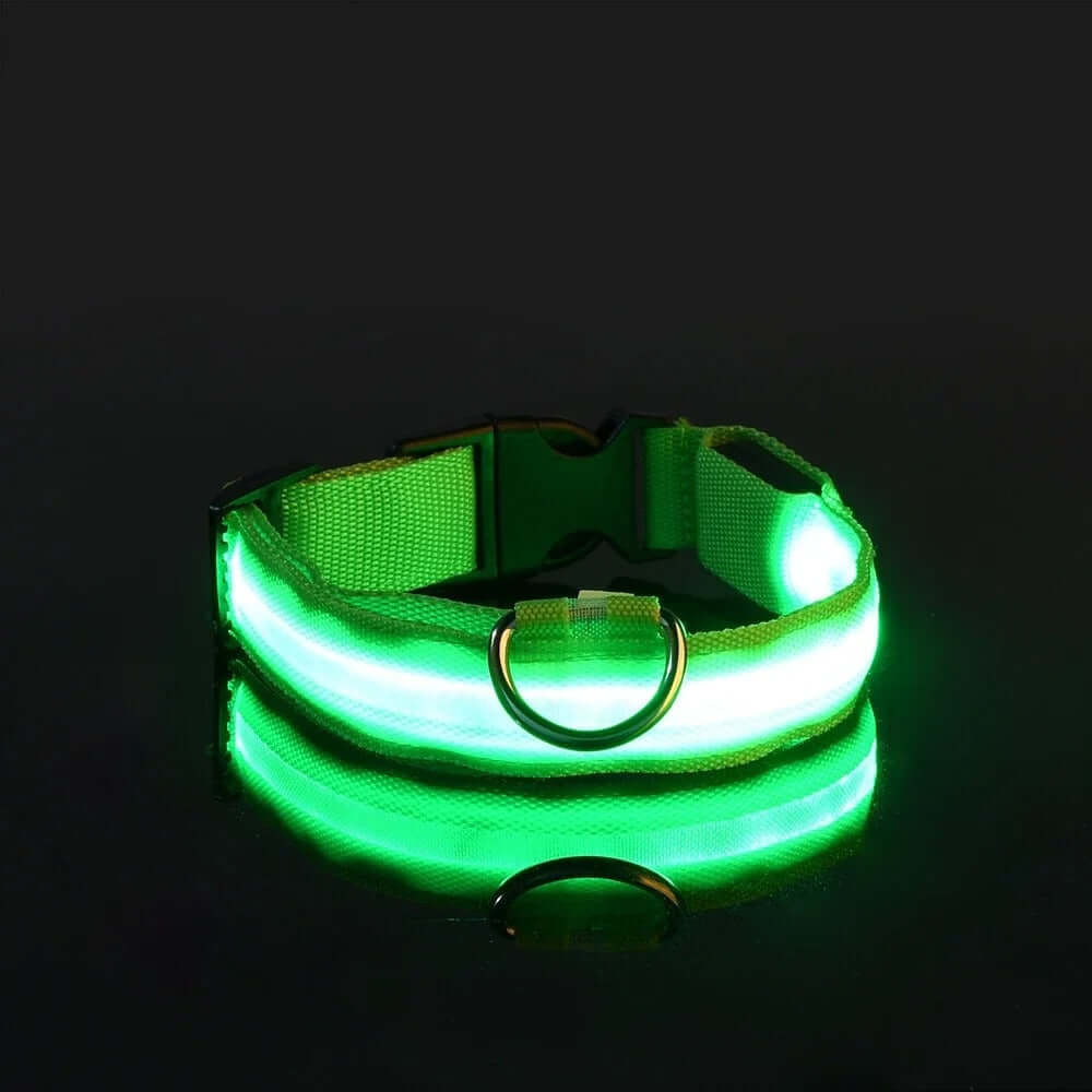 Collier et laisse lumineux LED pour chien, en nylon, vert