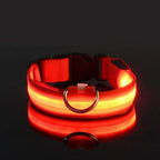 Collier et laisse lumineux LED pour chien, en nylon, rouge