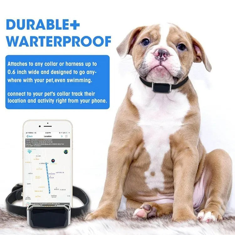 Collier GPS pour chien et chat, suivi en temps réel, IP67