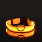 Collier et laisse lumineux LED pour chien, en nylon, jaune