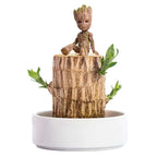 Petite plante d'intérieur en pot de 7 cm, avec ou sans plateau