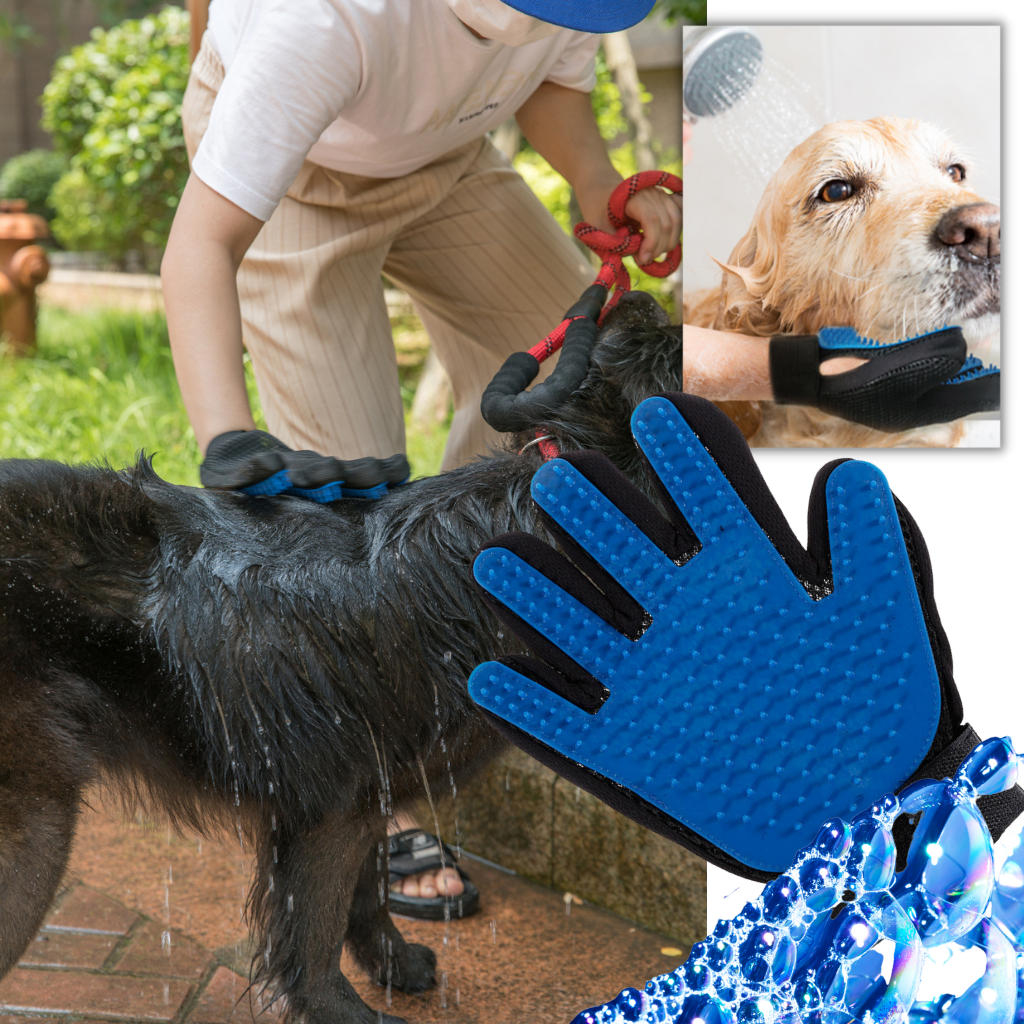 Gant de toilettage pour chien et chat, cinq doigts à picots