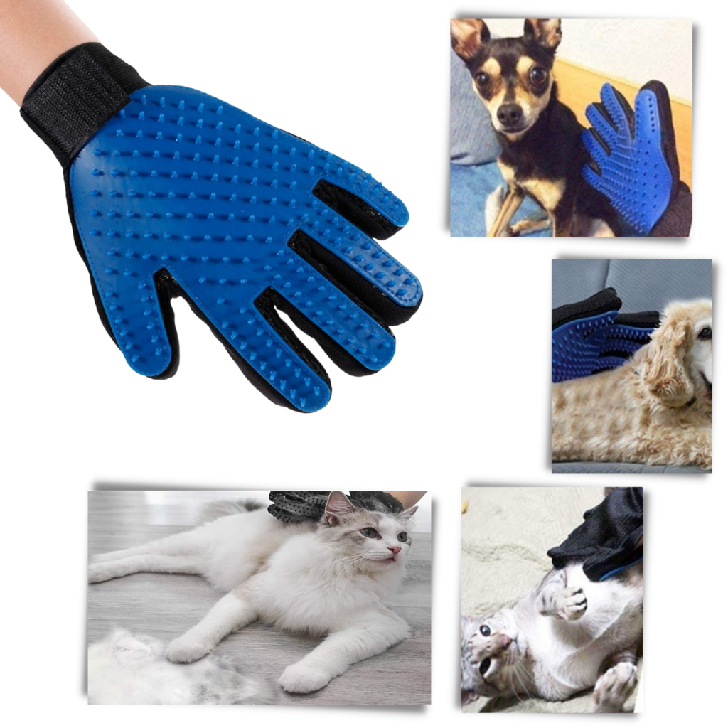 Gant de toilettage pour chien et chat, cinq doigts à picots