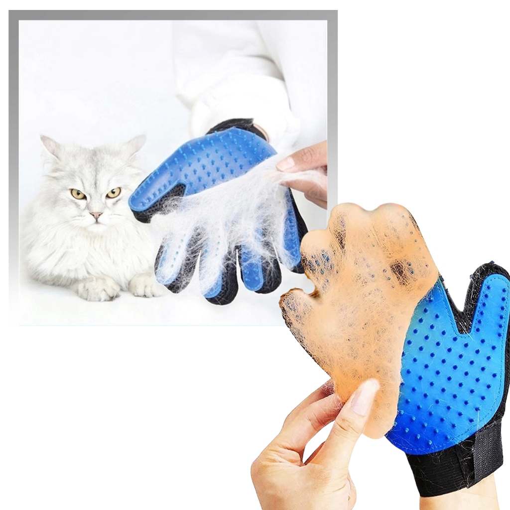 Gant de toilettage pour chien et chat, cinq doigts à picots