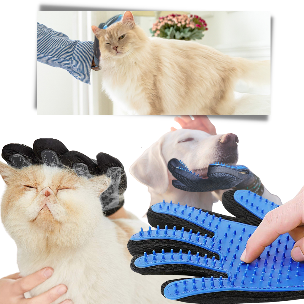 Gant de toilettage pour chien et chat, cinq doigts à picots