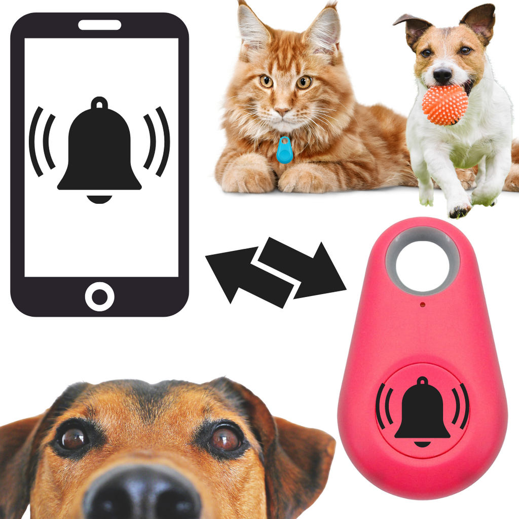 Traceur Bluetooth pour animaux à fixer au collier, cinq coloris