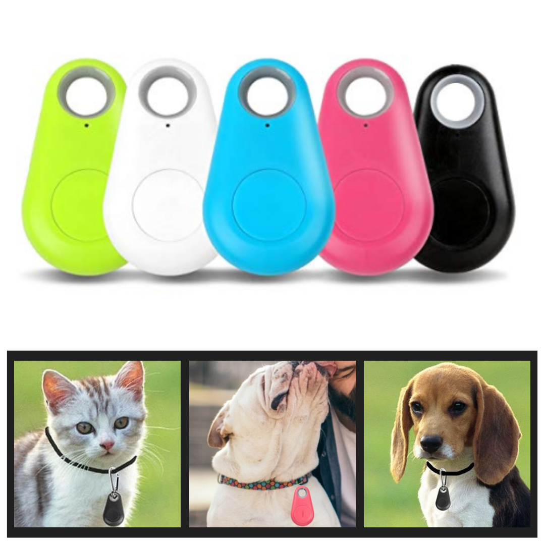 Traceur Bluetooth pour animaux à fixer au collier, cinq coloris