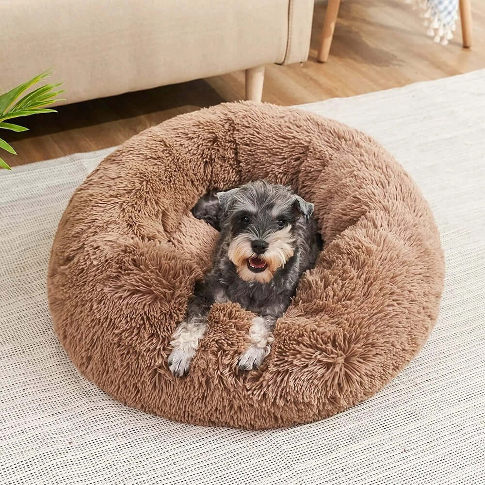 Lit orthopédique pour chien à rebords, housse lavable, cinq tailles, marron