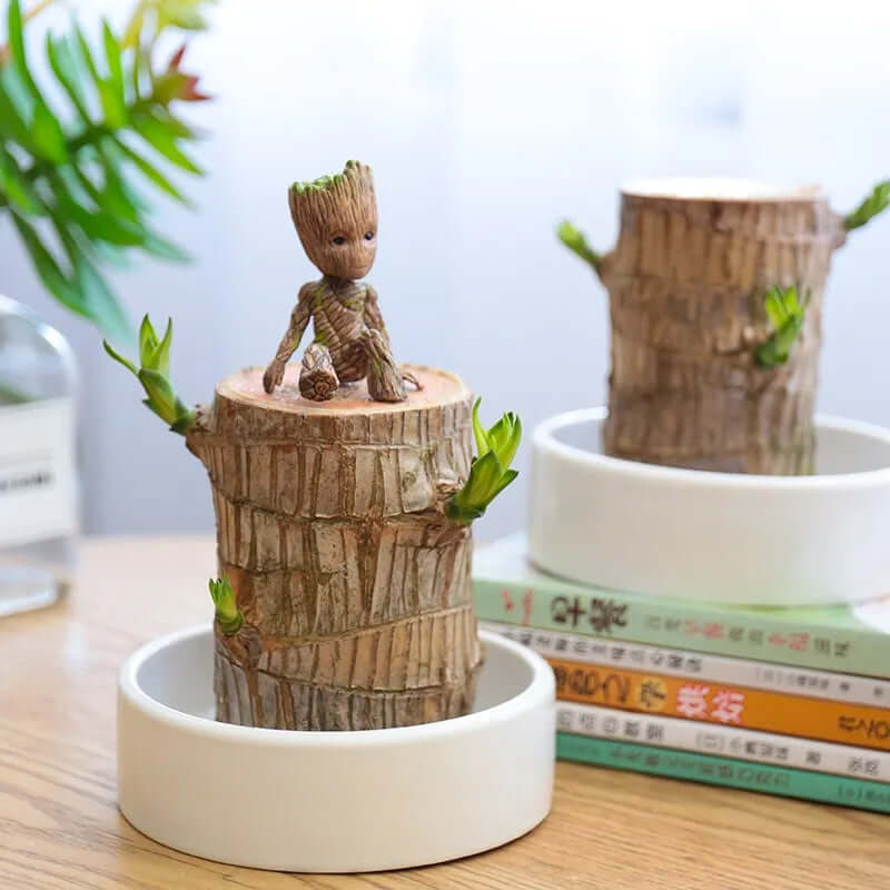 Petite plante d'intérieur en pot de 7 cm, avec ou sans plateau