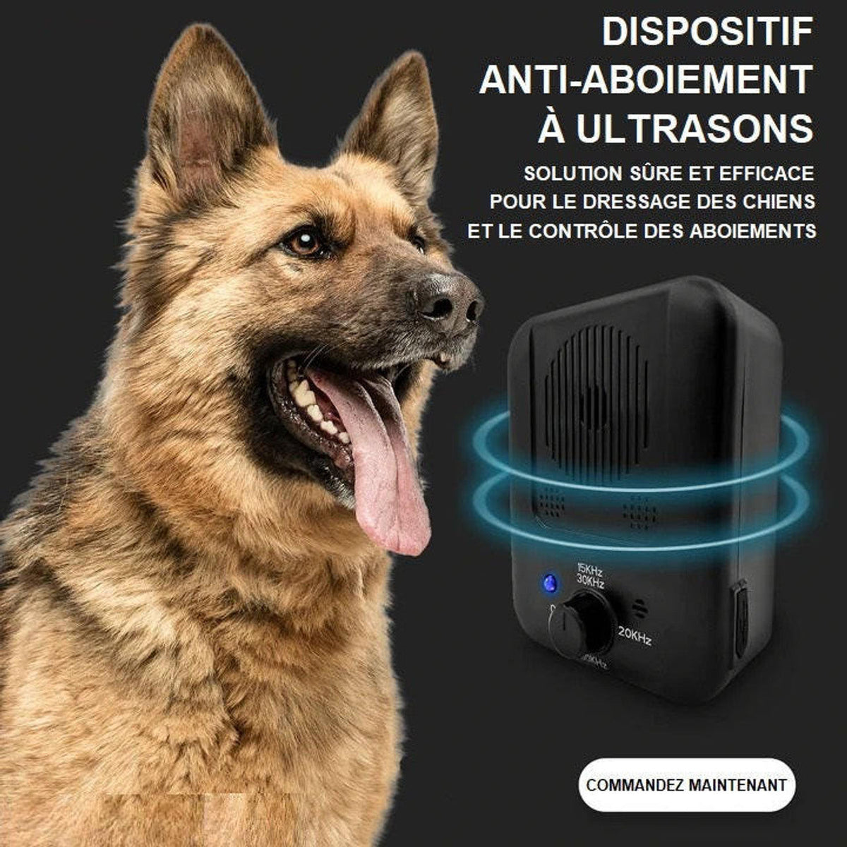 Boîtier anti-aboiement à ultrasons pour chien, rechargeable