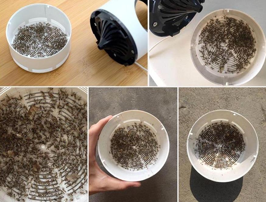 Destructeur d'insectes électrique à grille pour l'extérieur
