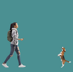 Boîtier anti-aboiement à ultrasons pour chien, avec lampe LED