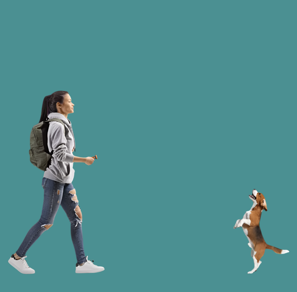 Boîtier anti-aboiement à ultrasons pour chien, avec lampe LED