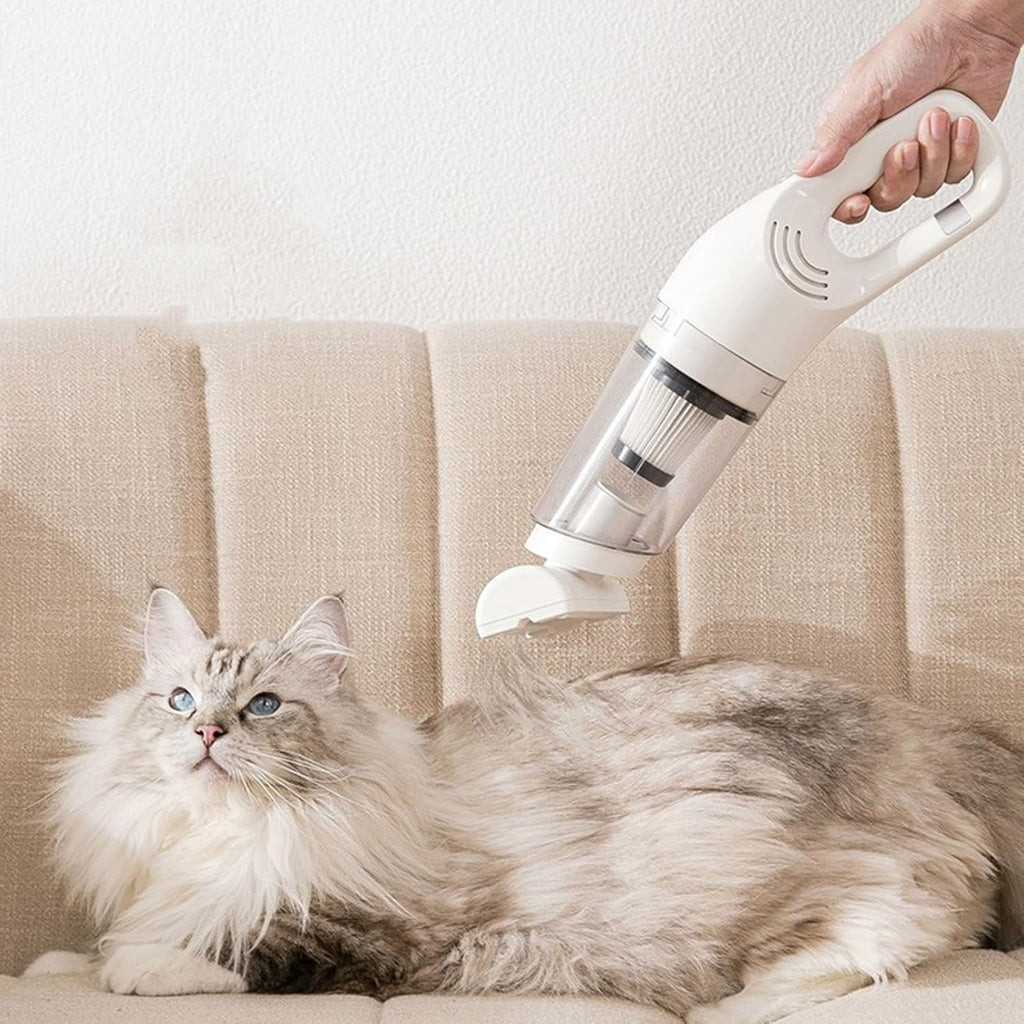 Aspirateur à main sans fil pour poils d'animaux, 5500 Pa