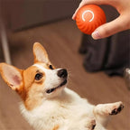 Balle interactive pour chien qui roule seule, rechargeable USB
