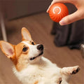 Balle interactive pour chien qui roule seule, rechargeable USB, orange