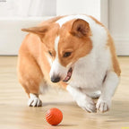 Balle interactive pour chien qui roule seule, rechargeable USB