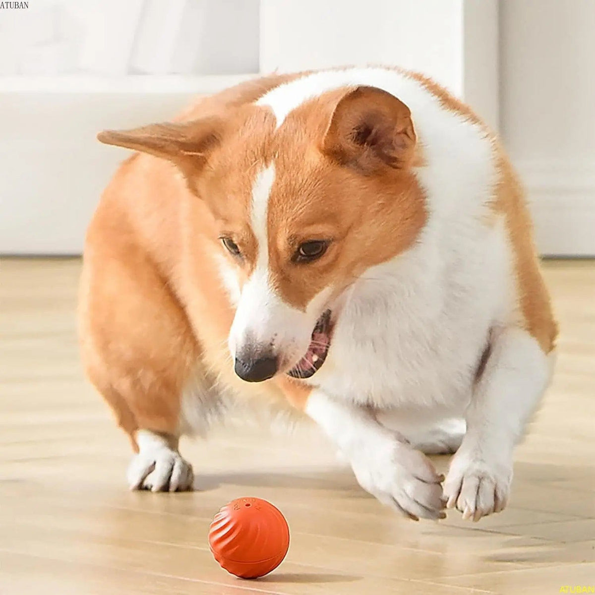 Balle interactive pour chien qui roule seule, rechargeable USB