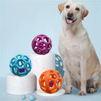Balle de reniflement pour chien à picots, avec ou sans cloche
