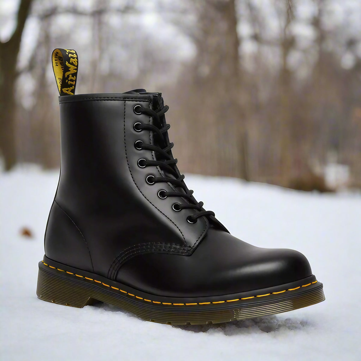 Bottes à lacets femme, mi-saison, six coloris, du 35 au 48, noir