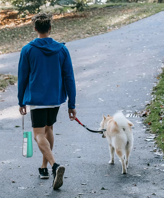 Bouteille d'eau pour chien avec gobelet intégré, 550 ml, anti-fuite