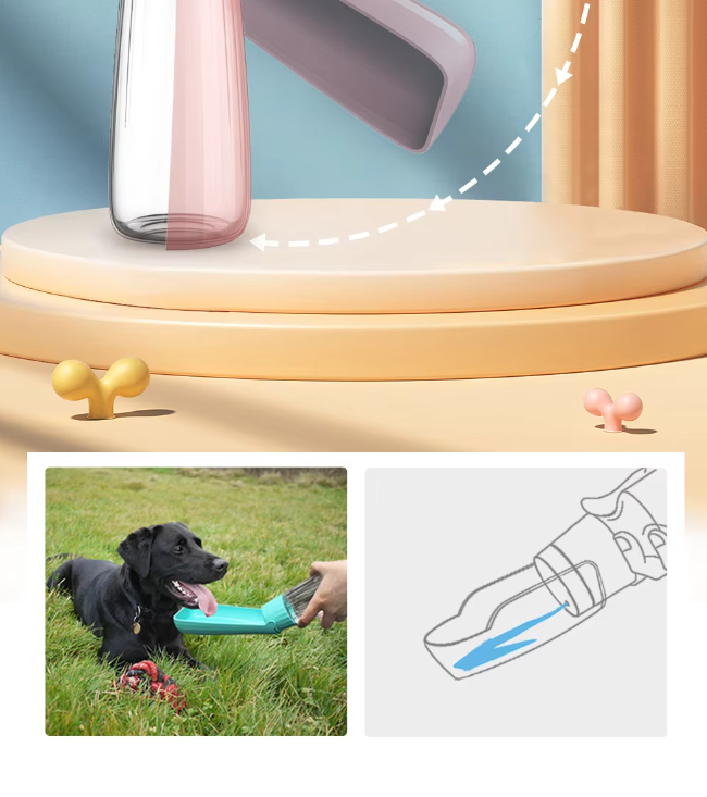 Bouteille d'eau pour chien avec gobelet intégré, 550 ml, anti-fuite