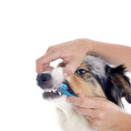 Brosse à dents pour chien à trois têtes, cinq coloris