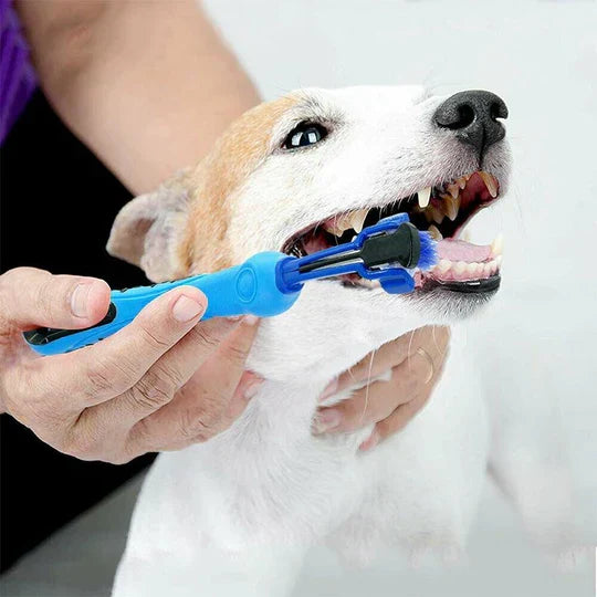 Brosse à dents pour chien à trois têtes, cinq coloris