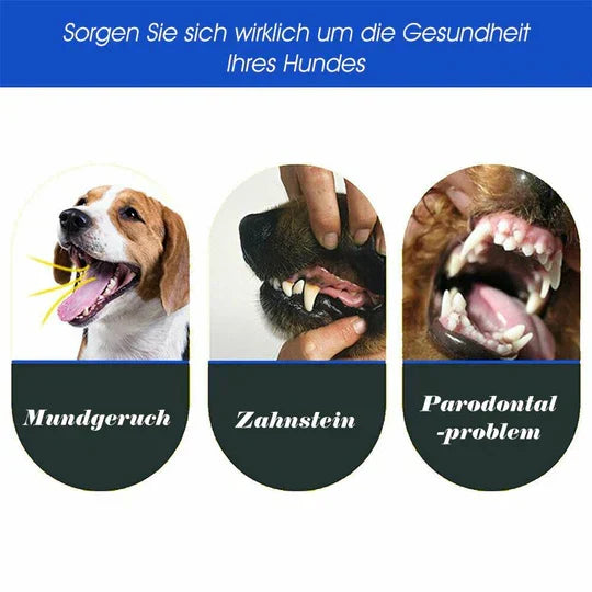 Brosse à dents pour chien à trois têtes, cinq coloris