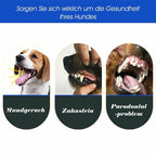Brosse à dents pour chien à trois têtes, cinq coloris