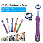 Brosse à dents pour chien à trois têtes, cinq coloris