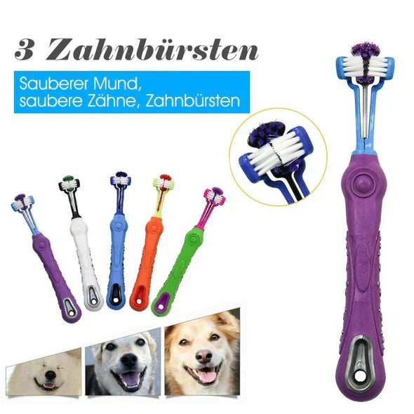 Brosse à dents pour chien à trois têtes, cinq coloris